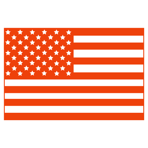 USA Flag Logo